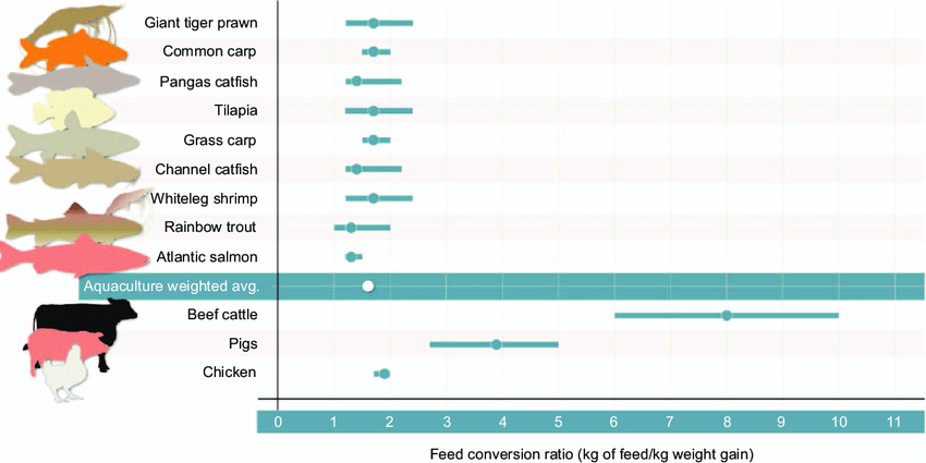 Compaison of Feed Conversion Ratio