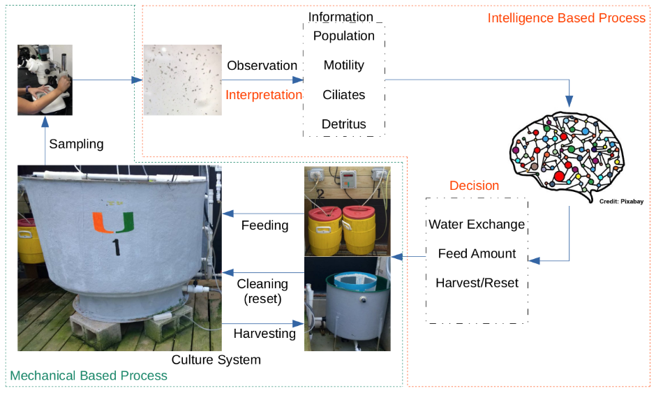 Aquaculture Cycle