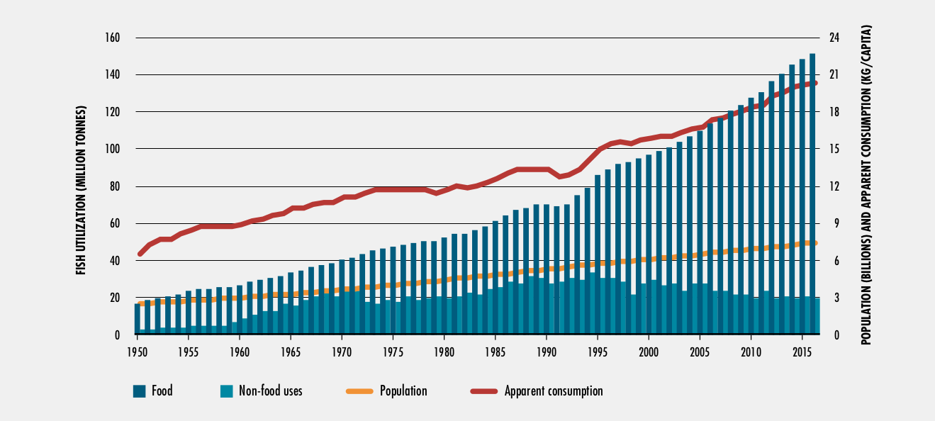 World Fish Utilization and Apparent Consumption
