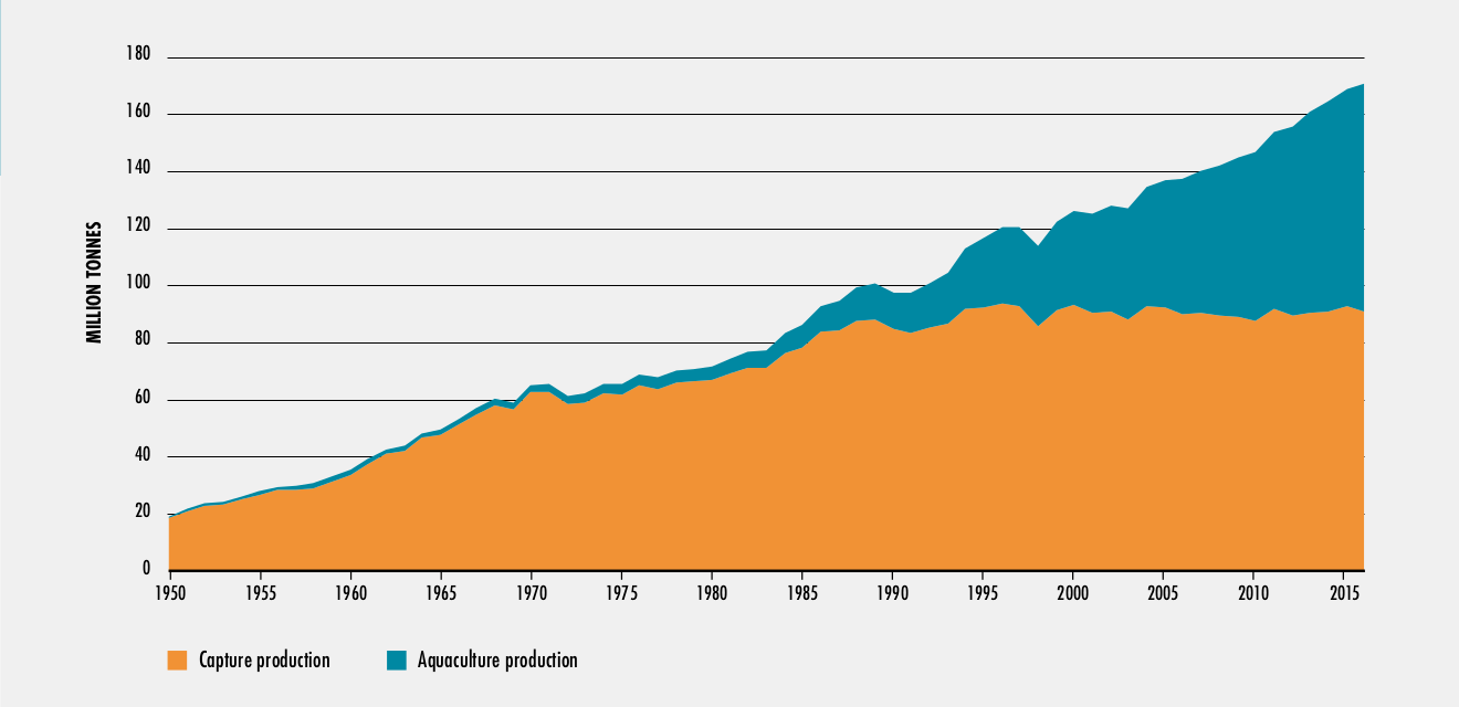World Capture Fisheries and Aquaculture Production 